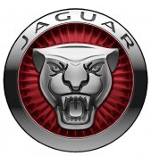Jaguar dekal